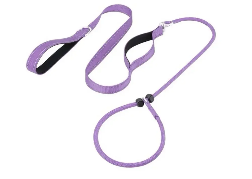 Aiyuda Tangle-Free Slip Lead 6ft Double Handle Leash for Dogs Under 40 Lbs Purpl